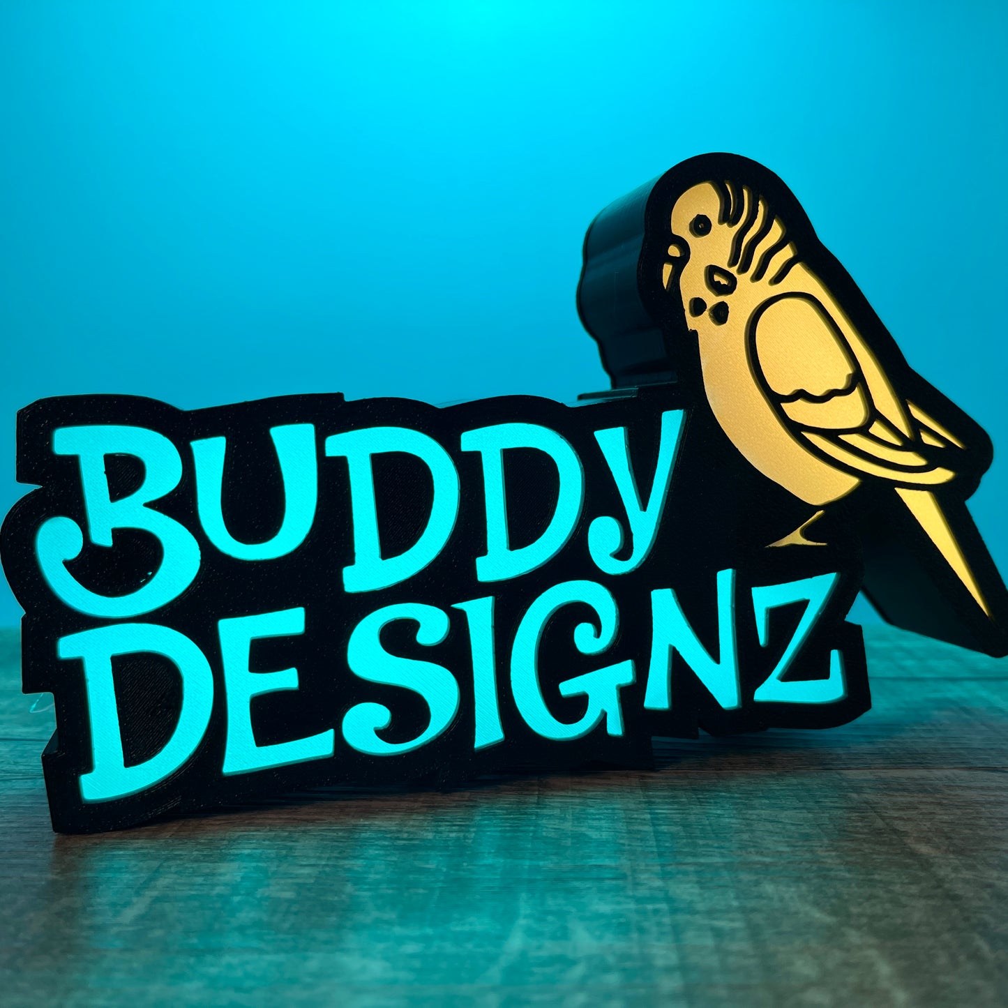 Custom Addressable RGB LED Nameplate